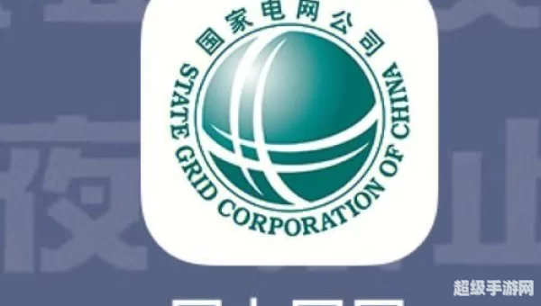 网上国网
