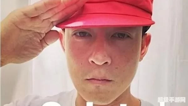 salute 敬礼