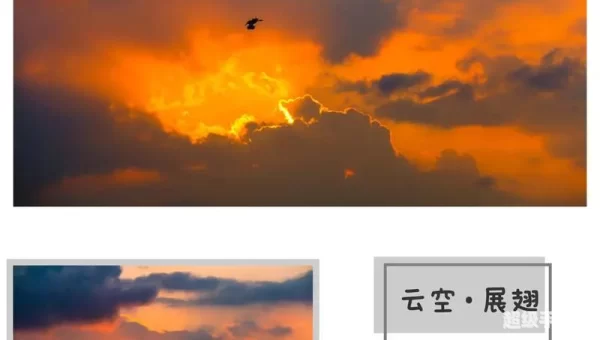 橙色光芒