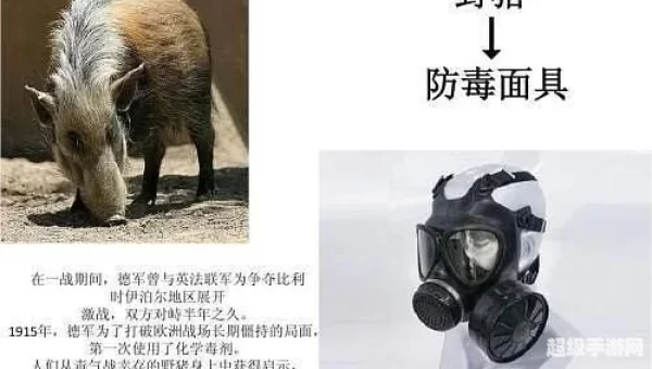 哪种动物启发发明了防毒面具
