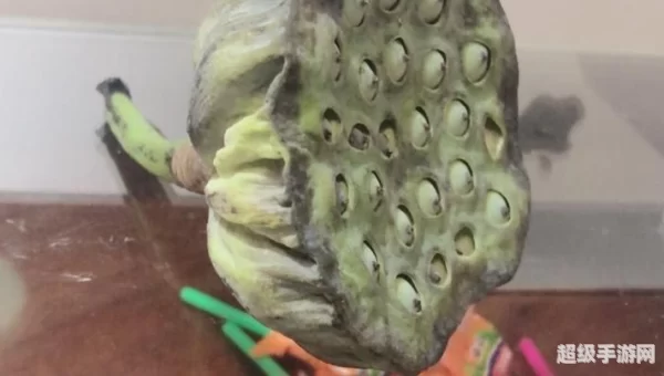 枯萎的金莲