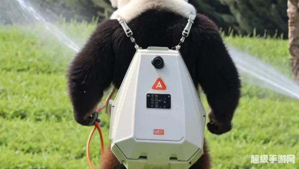 被称为耕地中的大熊猫的是