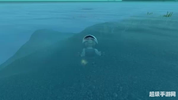海龟在哪钓