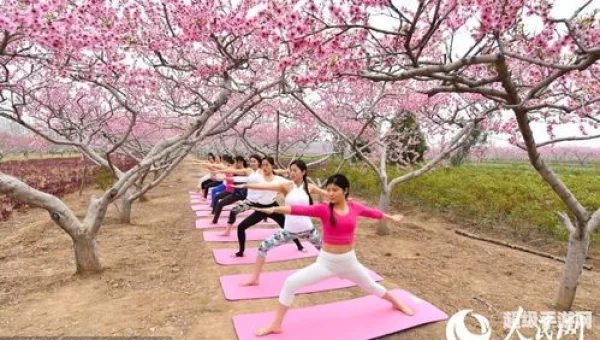 桃园下载
