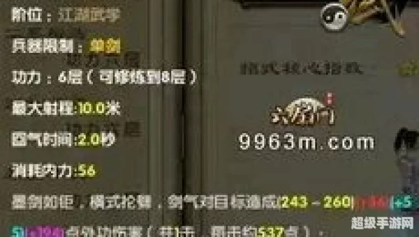 九阴真经99武学大全